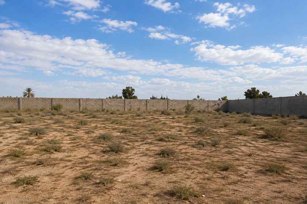 Land | Residential | Sayeda Zeinab
